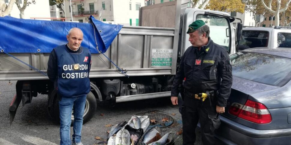 Pesce e norme violate, multe e sequestri al mercato di Messina: un cittadino segnala anche i prodotti nascosti