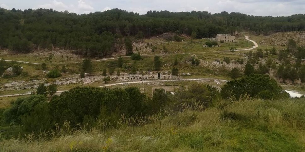 Un rally abusivo nel parco di Floristella, chiuso subito dopo l'incendio di luglio