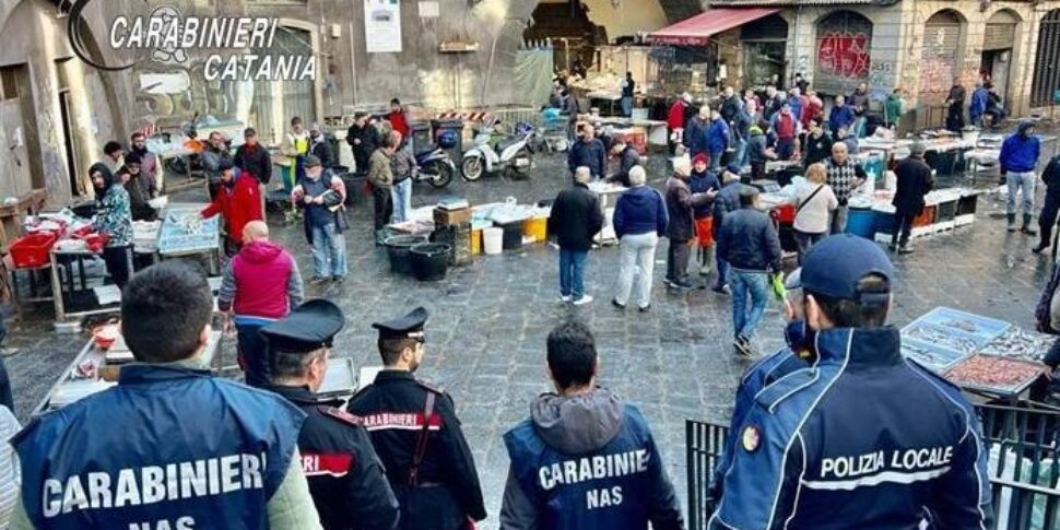 Controlli nella Pescheria di Catania, multe e sequestri