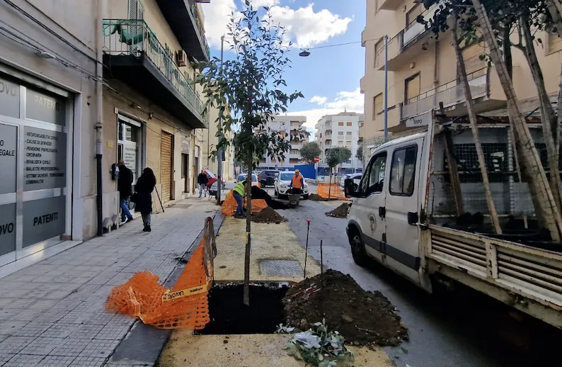 Si iniziano a piantare alberi in centro per ForestaMe (foto)