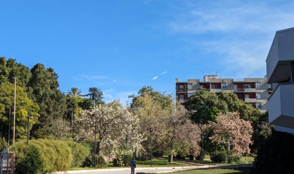 Siracusa Parco Del Santuario Anni Di Storia