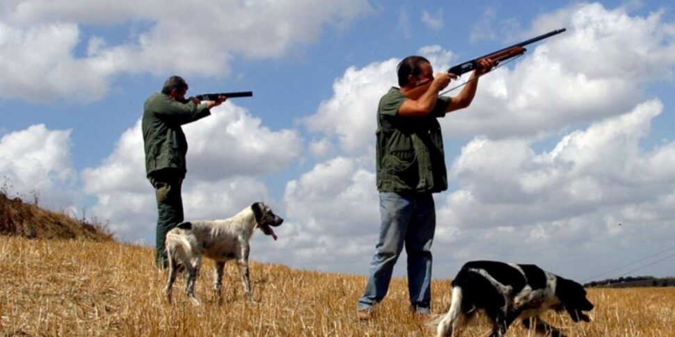 Valguarnera, sparano ai conigli ma uccidono i gatti: scatta la denuncia