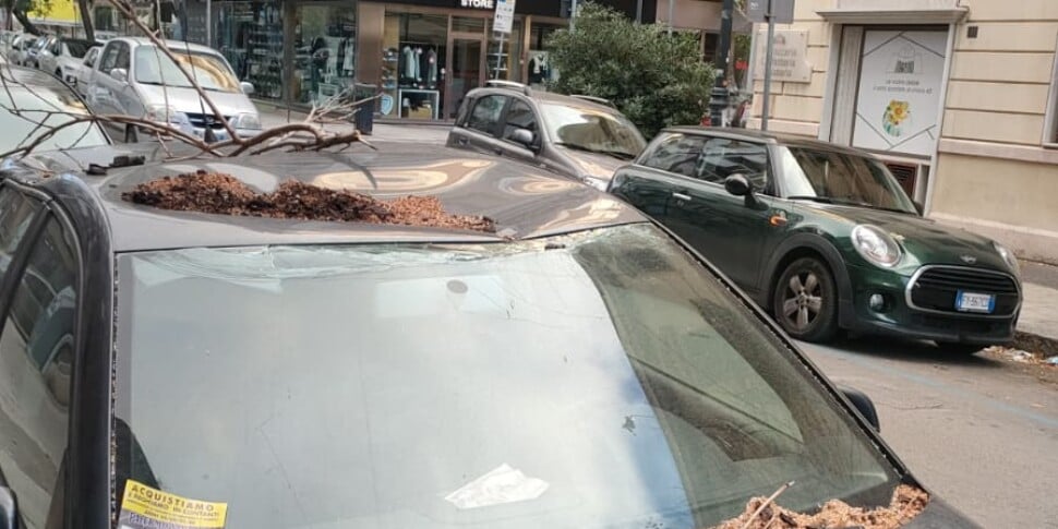 Palermo, grosso ramo di un albero cade sopra un'auto in via Garzilli