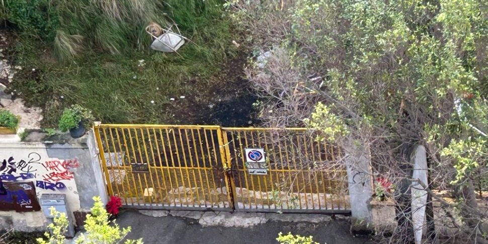 Il cane bruciato vivo a Palermo, sgomberato il rifugio dell'accusato