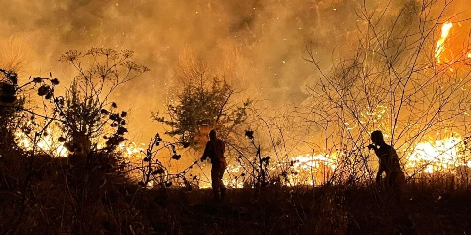 Incendi in Sicilia, l'assessore Di Mauro risponde a Musumeci: «La documentazione c'è e voi avete risposto con 7 mesi di ritardo»