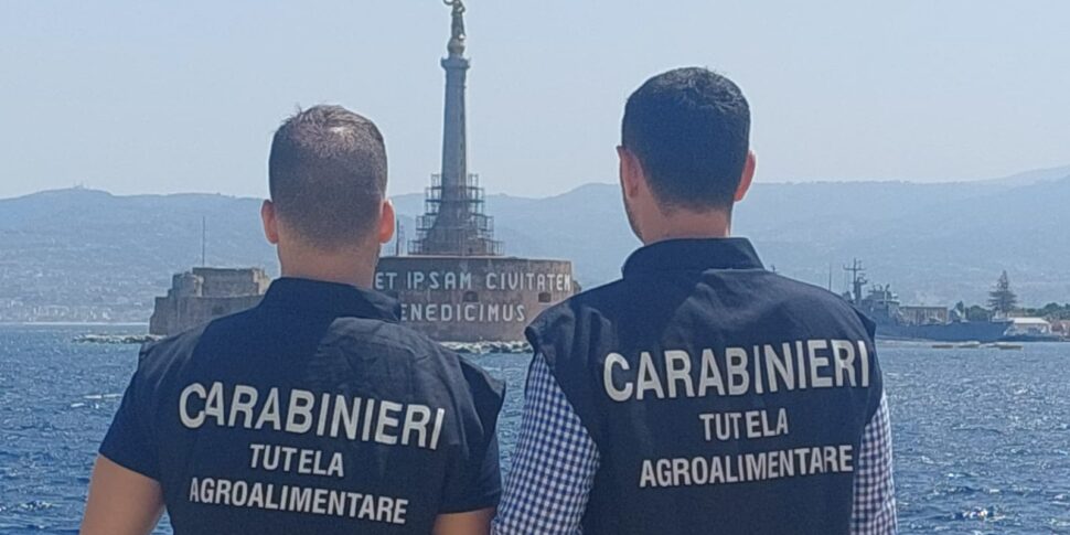 Imprenditore nisseno dichiarava come suoi terreni che non lo erano: sequestrati beni per 161 mila euro