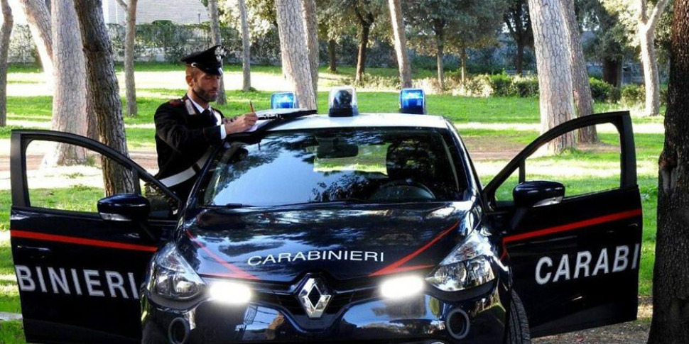 Tagliate otto piante d'ulivo a Burgio, intimidazione all'assessore Piazza