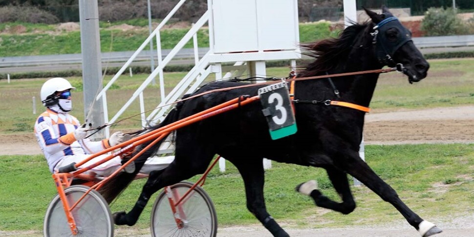 Trotto a Palermo, show di Salvatore Luongo con Baltimora Spav