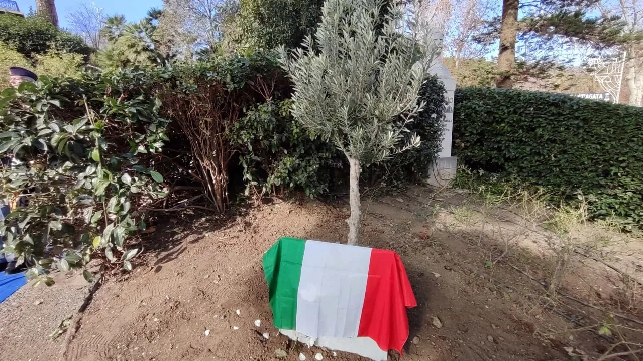 L'ulivo del questore Palatucci: salvò migliaia di ebrei