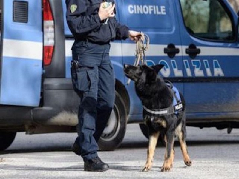 Ragusa: Iniziativa di Prossimità “L’Impegno dei cinofili e le straordinarie capacità del cane al servizio della collettività”