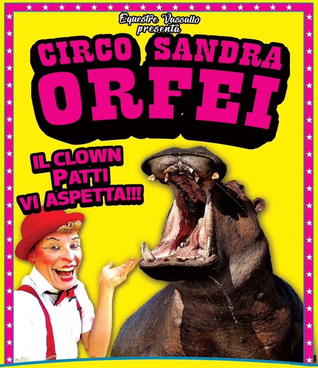 Show Circo Sandra Orfei ad Agrigento
