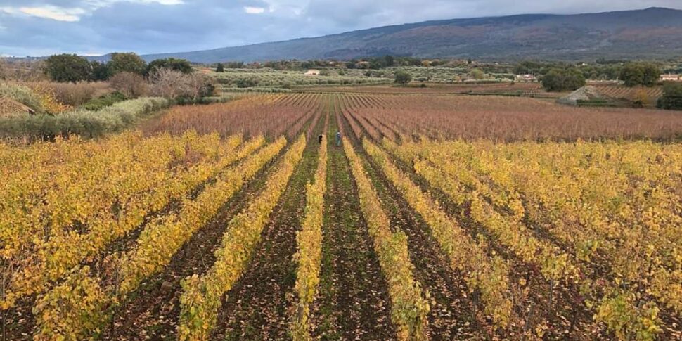 Al-Cantara Winery direttamente dall’Etna poesia da bere