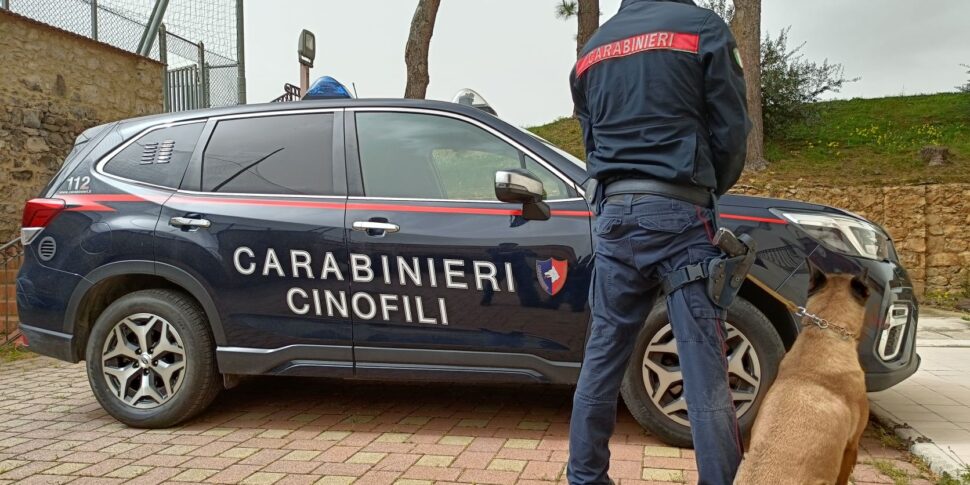 Stampava soldi e documenti falsi, in casa aveva anche armi: arrestato a Palermo