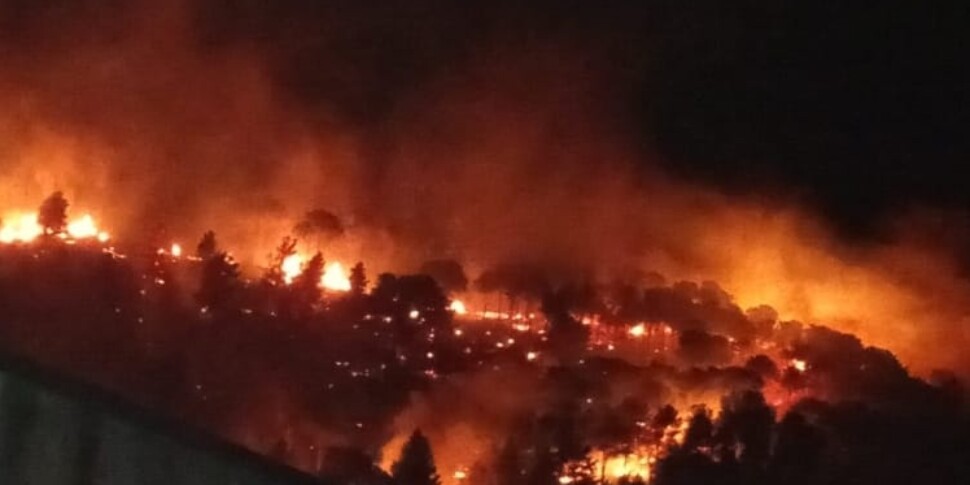 Castellammare del Golfo, lo sfogo del sindaco: «Su Monte Inici più fronti di fuoco, lasciano pensare a roghi dolosi»