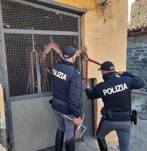 Stalle abusive a Catania, la polizia sequestra tre cavalli