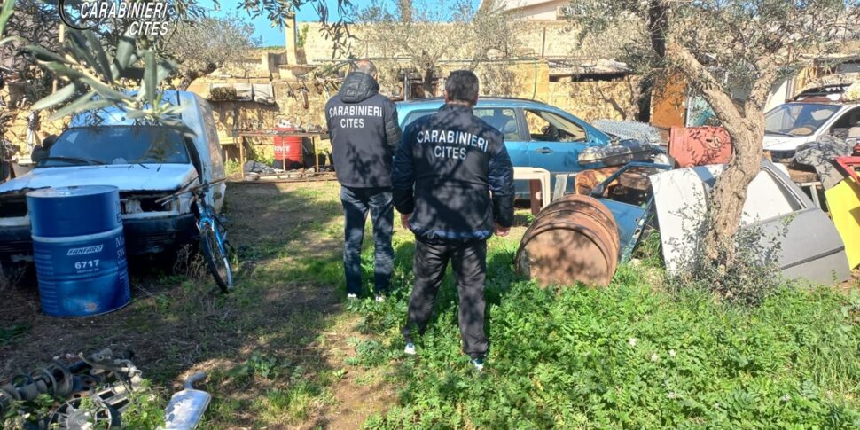 Falsa demolizione di un'auto, denunciata la titolare di una ditta di Mazara del Vallo