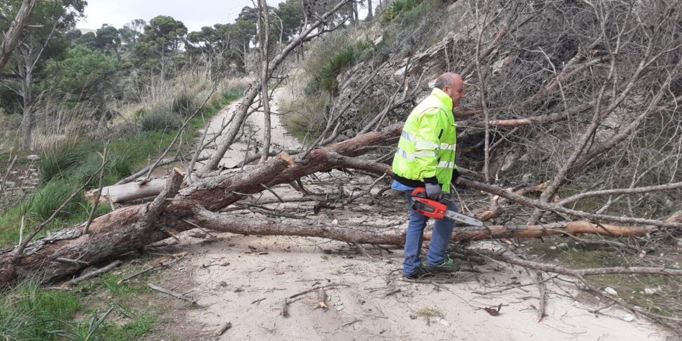 Il vento di scirocco crea disagi ad Erice: crollano alberi e pali della luce