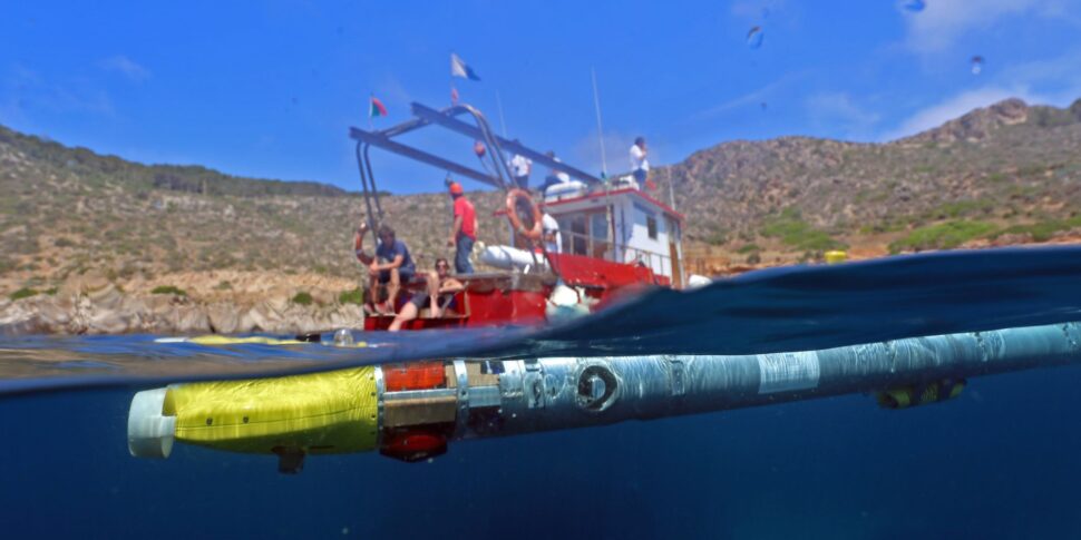 Relitti e altri tesori, a caccia di reperti nel mare di Ustica
