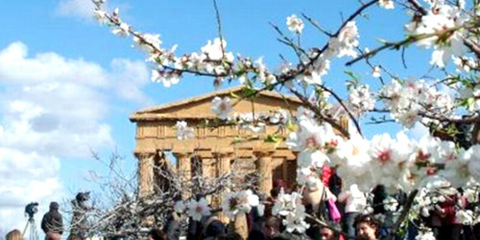 Corse e treni speciali per la sagra del mandorlo in fiore di Agrigento, ecco gli orari