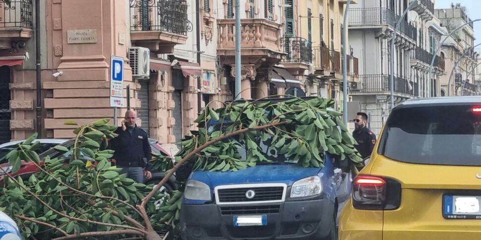Il vento sferza Messina, un albero crolla su un furgoncino: in provincia cadono in strada pali della luce