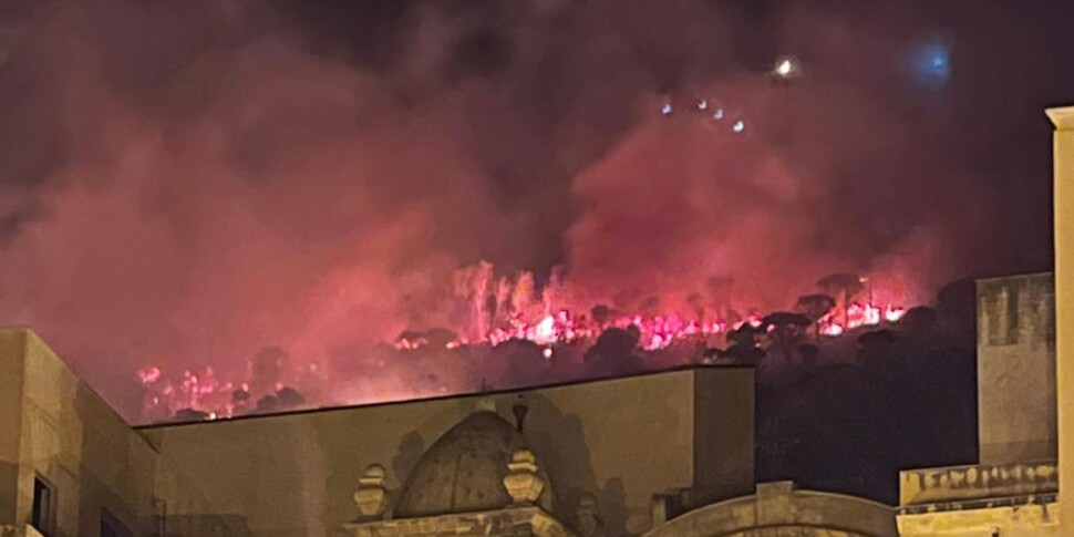 Il vento alimenta le fiamme: inferno di fuoco al Belvedere di Castellammare del Golfo