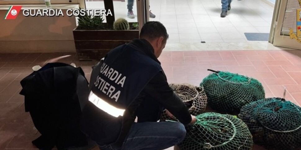 Palma di Montechiaro: sequestrati 1.500 ricci di mare, multato un pescatore
