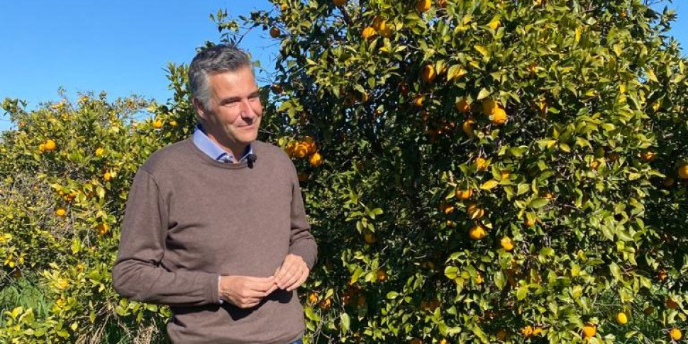 C'è siccità, ma arrivano le cartelle esattoriali per l'acqua: sale l'ira dei produttori agrumicoli della Piana di Catania