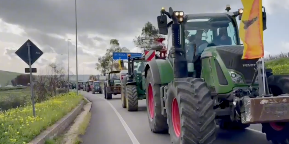 La protesta degli agricoltori del Belice: «Con i trattori presto a Palermo»