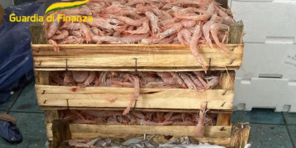 Un mercatino abusivo di pesce scoperto a Trapani, sequestrati 500 chili di prodotti ittici