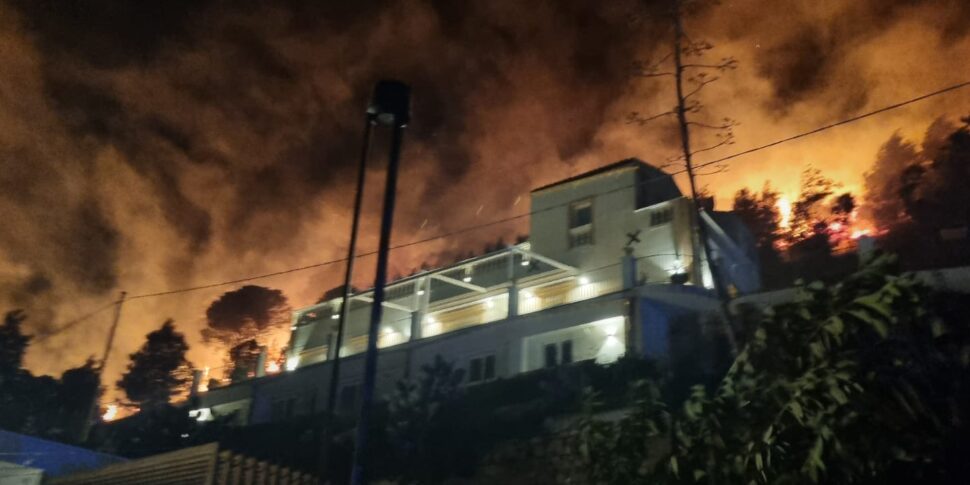 L’incendio di Castellammare, il sindaco: «Matrice dolosa»