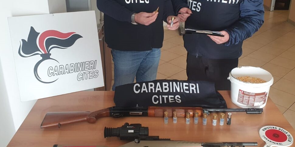 Mazara, caccia al cinghiale in un'area protetta: due sorpresi e denunciati