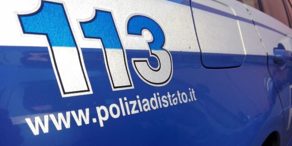 Infastidito dai piccioni, spara verso di loro con una carabina caricata a piombini: denunciato