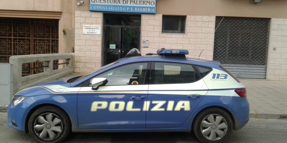 Orrore a Bagheria, picchiano un cane e cercano di seppellirlo vivo: denunciati due giovani