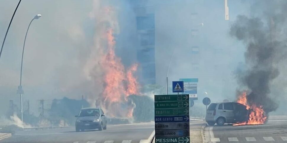 Divieto di accendere fuochi e sigarette vicino ai boschi, terreni da ripulire e limiti per i botti: l'ordinanza antincendio di Palermo