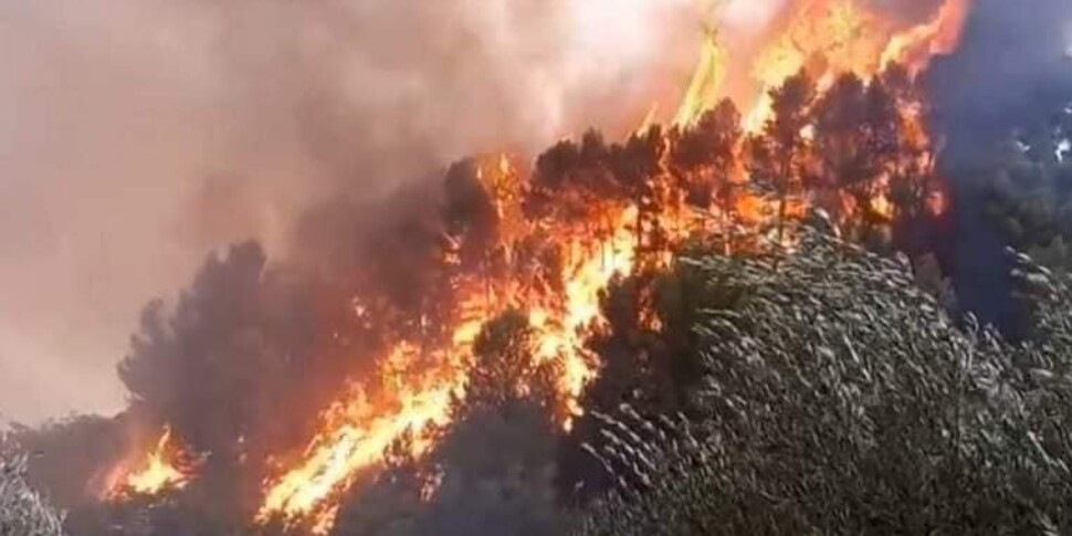 Riparte l'incendio nella riserva naturale di Santa Croce Camerina, il sindaco: «Siamo addolorati»