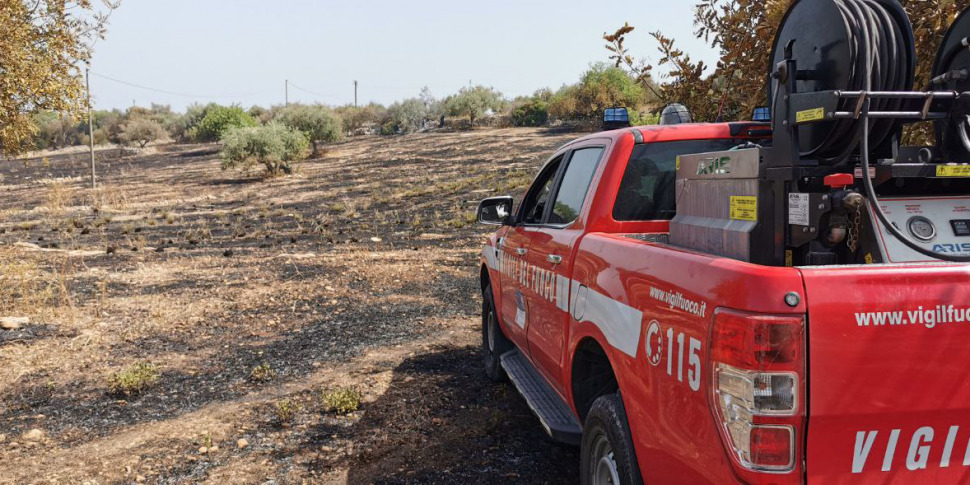 Bruciano ramaglie e divampa un incendio a Trappeto