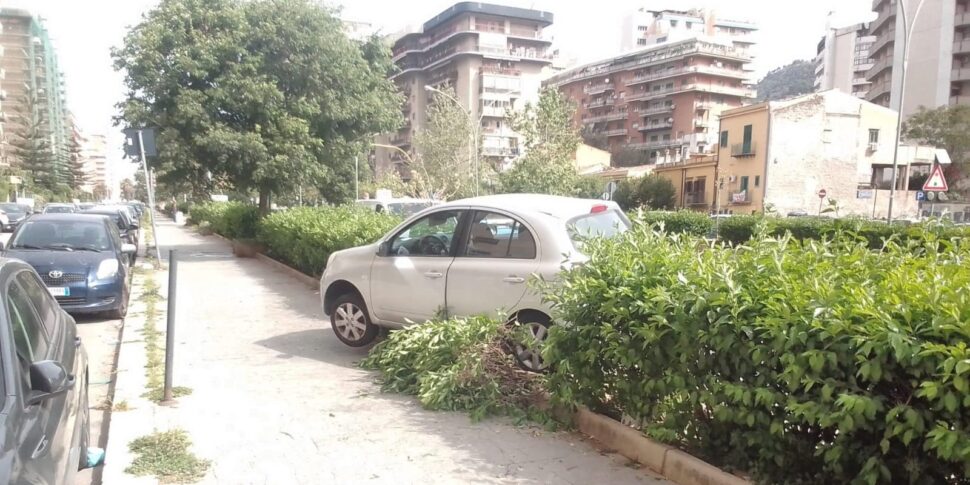 Palermo, finisce con l'auto contro lo spartitraffico e poi sulla siepe: ferito ottantenne in viale Croce Rossa