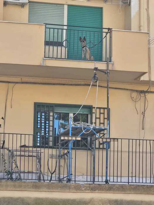 Cane legato al balcone, intervento della polizia municipale