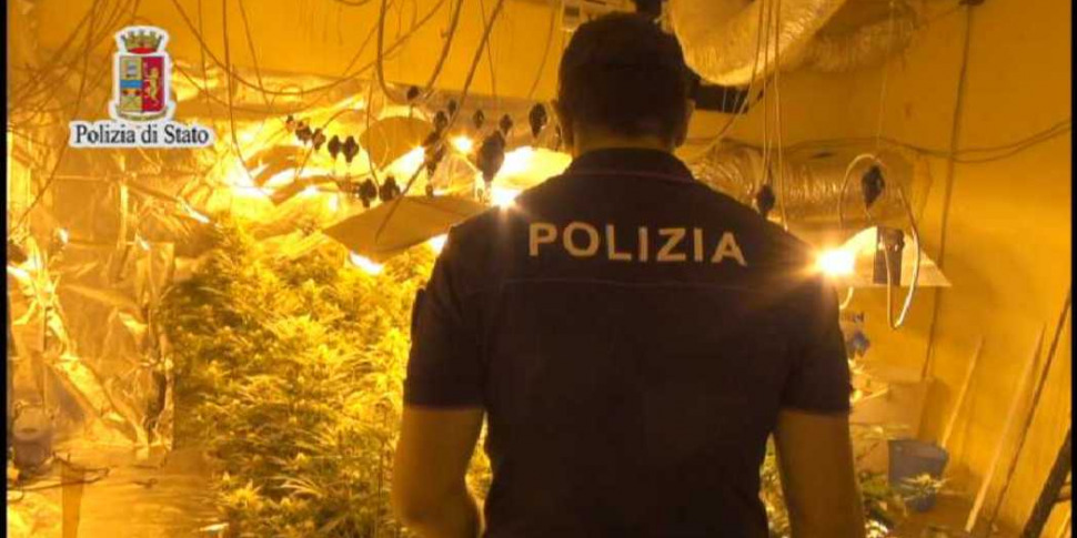 Palermo, piantagione di marijuana indoor scoperta allo Zen: 3 denunciati