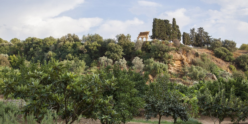 Agrigento, ritrovato morto il turista tedesco scomparso nella Valle dei Templi