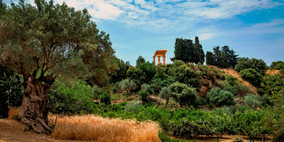 Agrigento, un turista tedesco ottantenne visita il giardino della Kolymbethra e scompare nel nulla