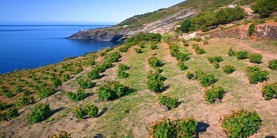 Manifestazioni per il 25 aprile, a Pantelleria non si potrà cantare «Bella Ciao»