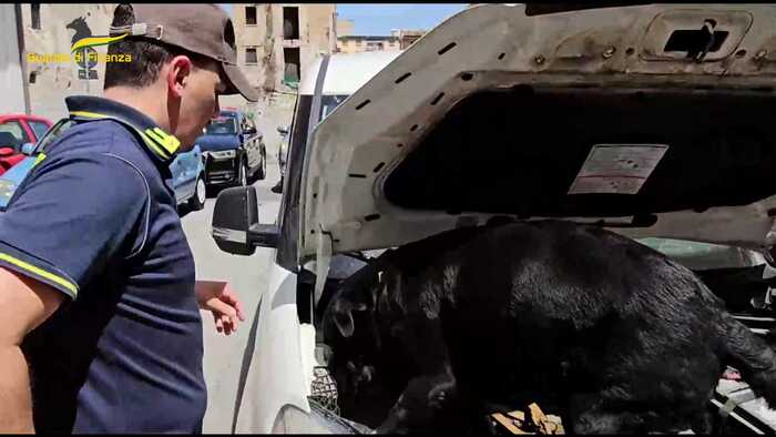 Sequestrati oltre 3 chili di cocaina, due arresti a Palermo