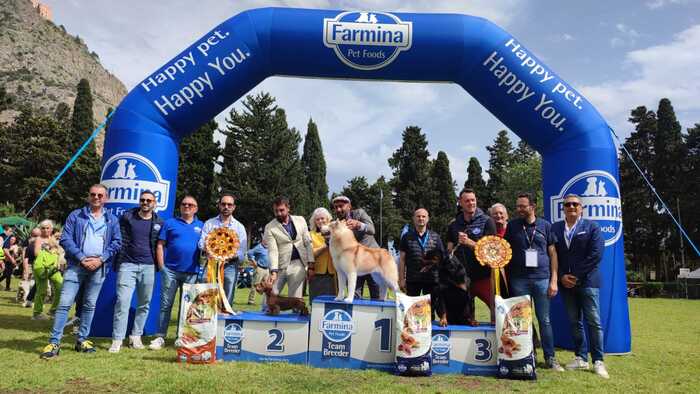 Esposizione canina a Palermo, vince Siberian husky