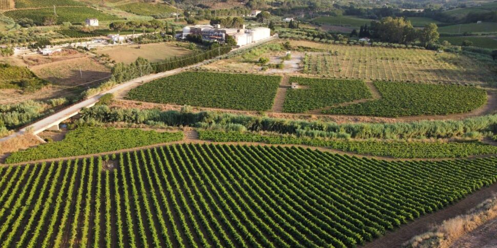 Cantine Kàggera, l’equilibrio tra passione e territorio