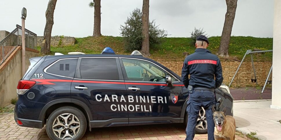 Montelepre, canile abusivo sequestrato dai carabinieri