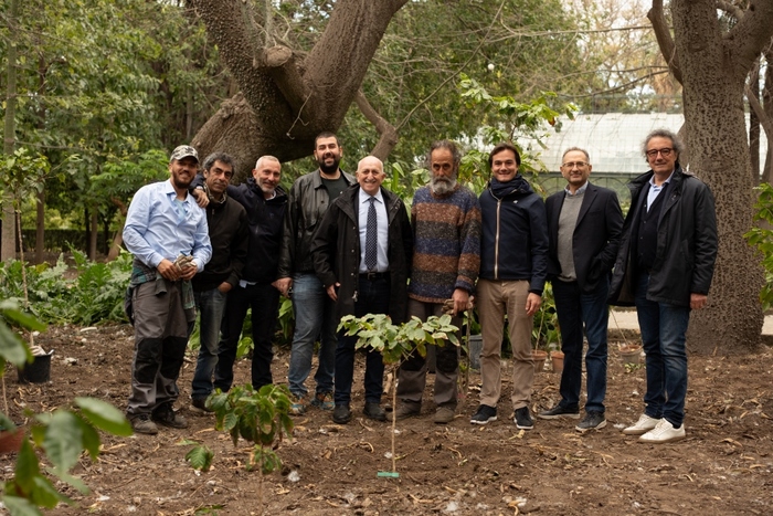 Coltivare il caffè, sfida al via all'Orto botanico di Palermo