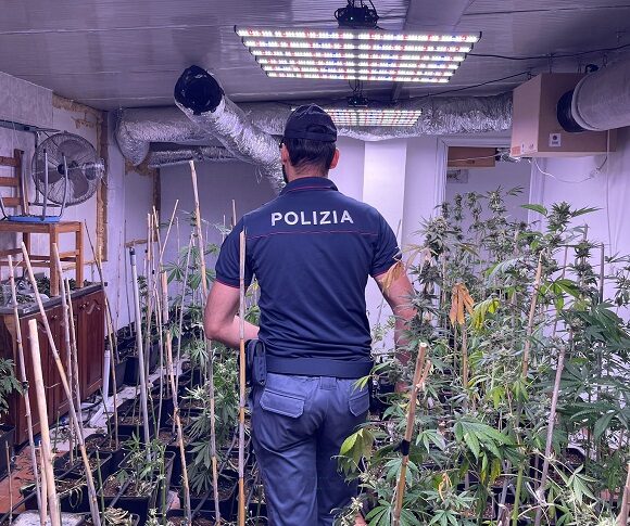 Augusta, sequestrata una serra con mille piantine di marijuana