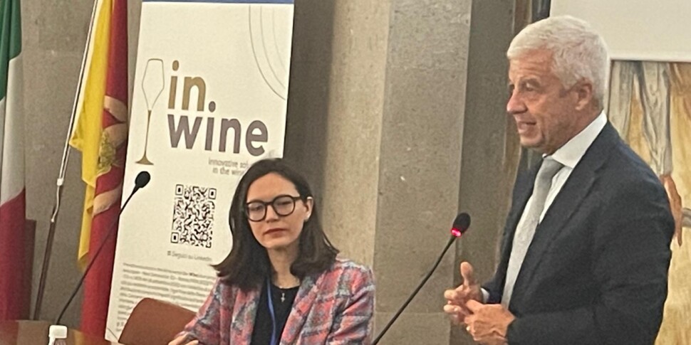 Sostenibilità e vino: «Così la Sicilia diventa una terra interessante per gli imprenditori del Nord e dell’Europa»