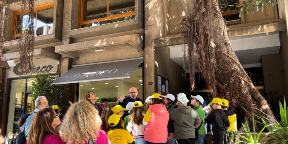 Palermo, partono le verifiche sulla stabilità dell'albero Falcone: via bigliettini e foto ma il simbolo rimane